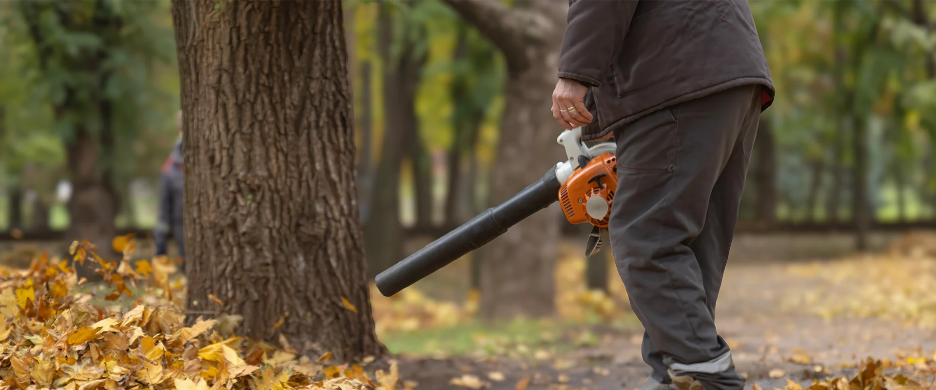 Dmuchawa spalinowa do liści